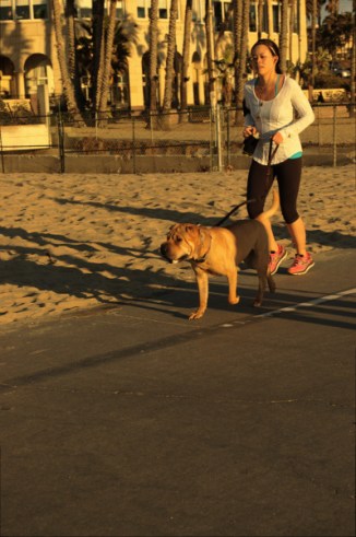 female jogs iwht her dog Santa Monica Beach CA black friday 2015