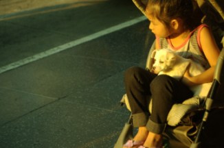 young girl in stroller with white puppy on her lap