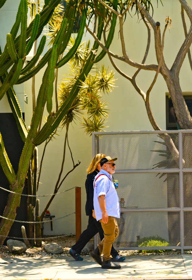 Abbott Kinney  streets are alive in vivid color images of beutiful people having a bast in so cal, its lifestyle, its happening, its fun, ITS LA!